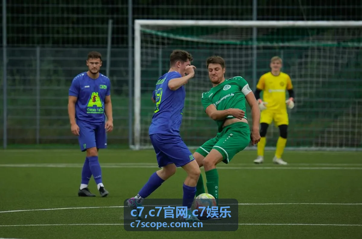 C7娱乐内容分类精选说明