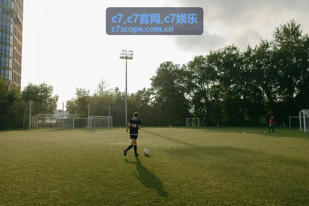 C7官网访问指南内容卡片